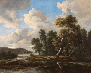 Flodlandskap med trädbevuxna stränder